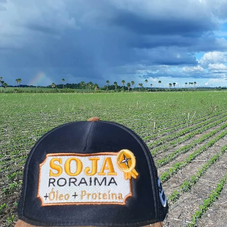 aluizionassi's tweet image. Fantástica a arrancada da #Soja_Roraima e do #Milho_Roraima no #Cerrado_Roraima.
Que DEUS abençoe todos!

#Roraima_HemisférioNorte
#Roraima_AMelhorFronteiraAgrícolaDoBRASIL
#Agro_Roraima
#AmbientalmenteCorreto
#Roraima_SemIgual
#RoraimaEstadoLuz 🌞
#AtraçãoDeInvestimentos 🏁🏁🏁