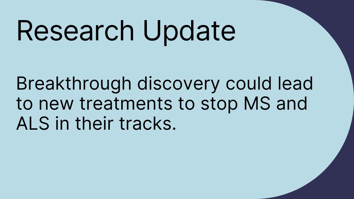 Researchers from the University of Saskatchewan identify a new factor driving neurodegeneration in #MS. Read more here: bit.ly/3JUU6fZ
