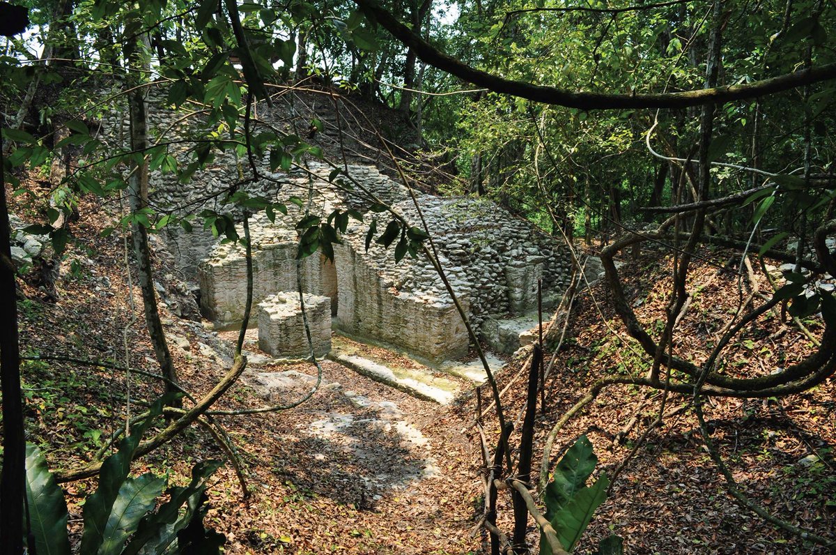 Adventurers, unite! The jungle is calling... Explore the El Pilar Archaeological Site in Belize, then return to your luxe hideaway at Villa Massis. 😎 
.
.
.
.
.
#AdventureTravel #ExploreBelize #JungleRetreat