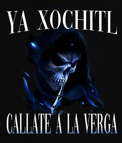 sans_sandro's tweet photo. @PRDMexico @XochitlGalvez https://t.co/jFgTEIqQuN