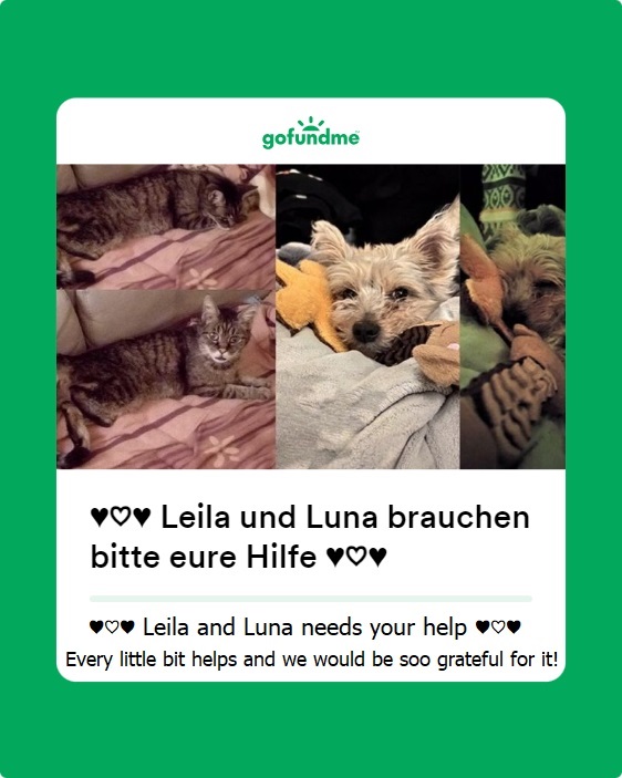 🙏PLEASE🙏 Retweet 🙏Support🙏
🐕#DogsOfTwitter #DogsOfX #Dogs #doglovers
🐈 #CatsOfTwitter #CatsOfX #CatLovers #Caturday 
🙏 #PleaseRT #RETWEET🙏 #GoFundMe 
#fundraiser #donations #share #giveback