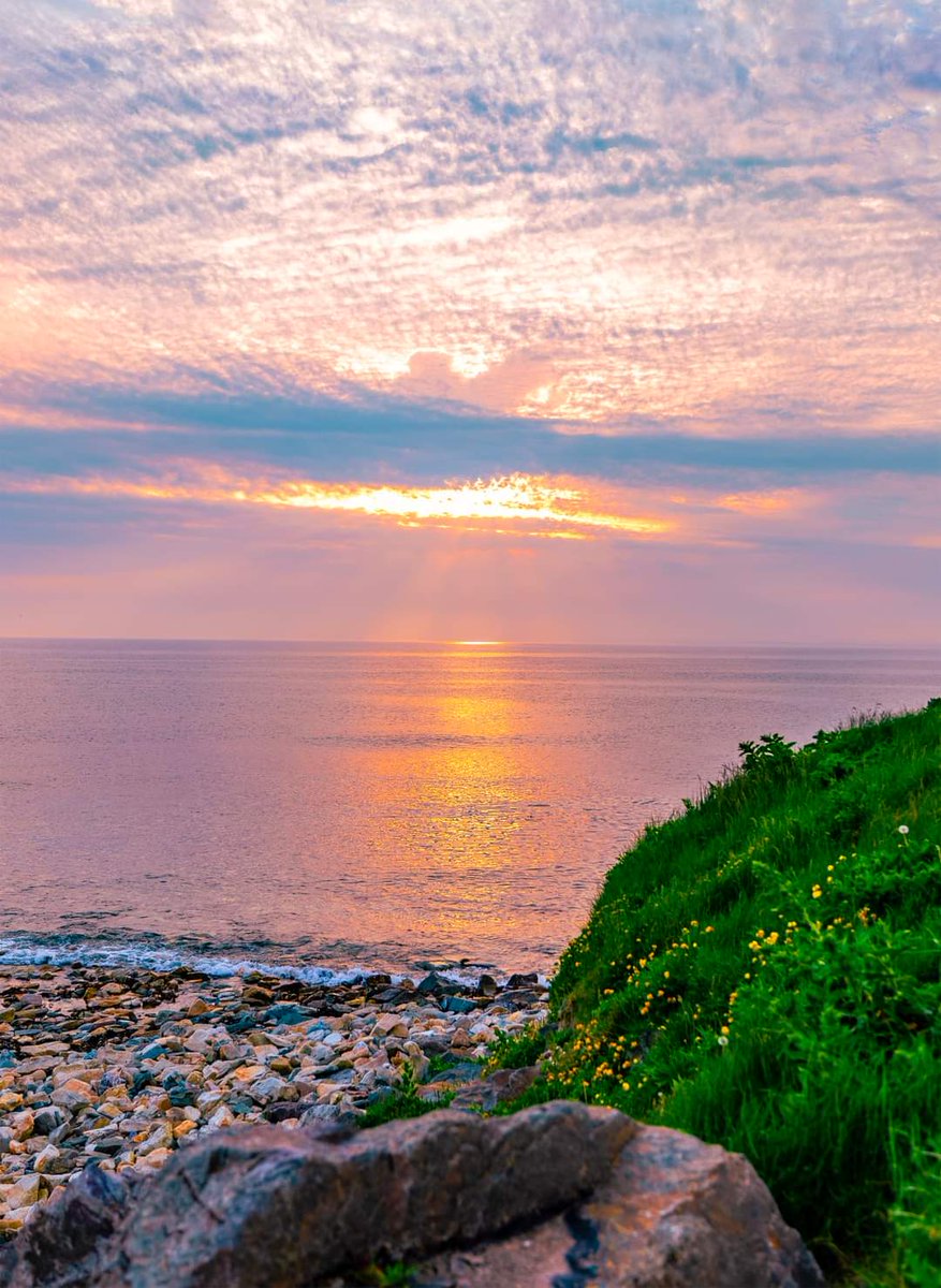 📸 | Soft and dreamy sunset in Kilmore Quay tonight 🩵💗

#visitwexford