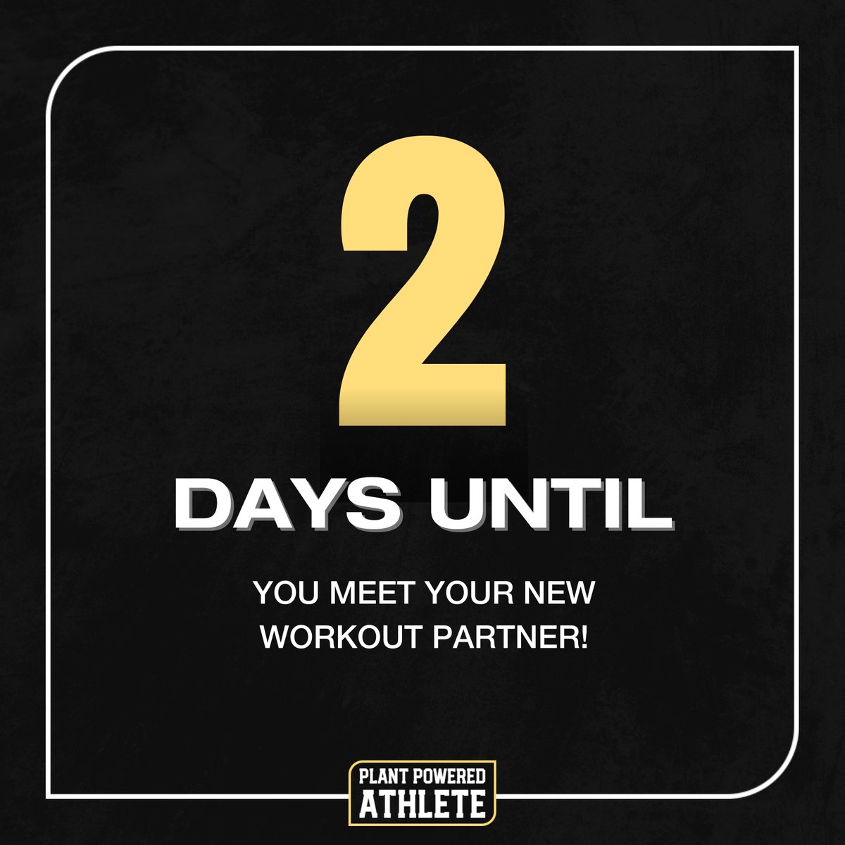 🌟 The Countdown is Almost Over - Only 2 Days Left! 🌱

Get ready to meet your new workout partner! Our latest plant-powered innovation promises to be the ally you need for every workout. 

Are you as excited as we are?

#plantpoweredathlete #plantbasedprotein #plantbasedcoac...