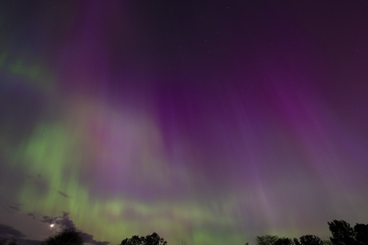 Metroparks Toledo tweet media