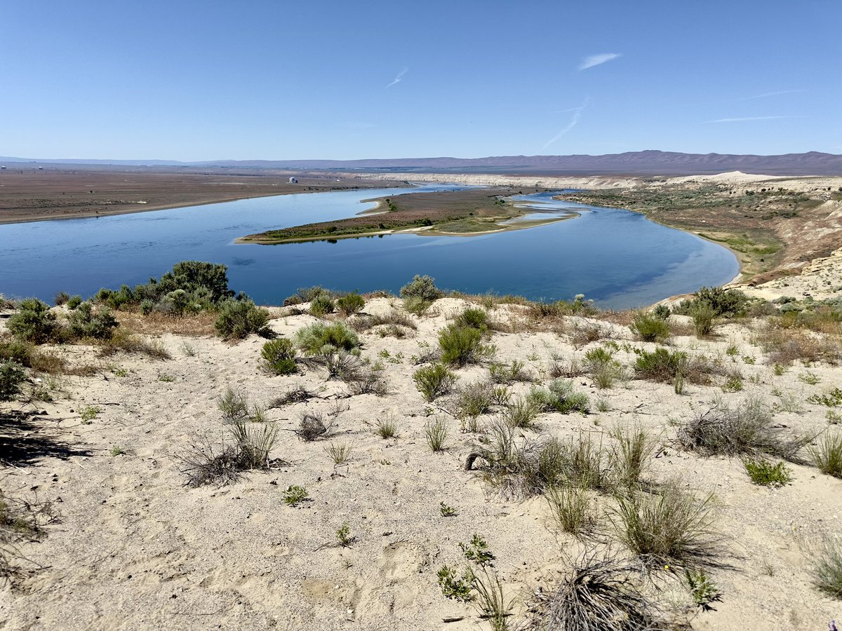 📸: Hanford Reach North Trail It’s 90° here. I have concluded on this hike with 100% certanty that I am a cool weather hiker. 🥵