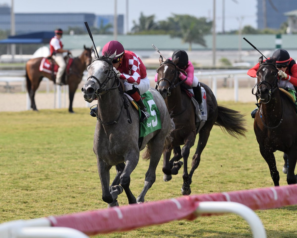 Bullet storms in the final stretch to take the Royal Palm Juvenile Fillies Stakes, ridden by @JaramilloJockey, trained by @markecasse, and owned by @DJ_Stable. #GulfstreamPark #RoyalPalmMeet