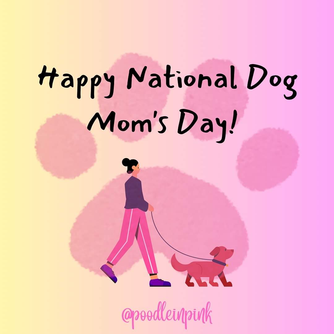 Reposted from @poodle_in_pink: Happy National Dog Mom Day! 👩🏻🐶🐕🦮🐩🐕‍🦺🐾 Tag a Dog Mom!

#nationaldogmomday #sanantoniodogmoms #dogmomlife #dogmomsofinstagram #sanantonio #texas #LiveFromTheSouthside