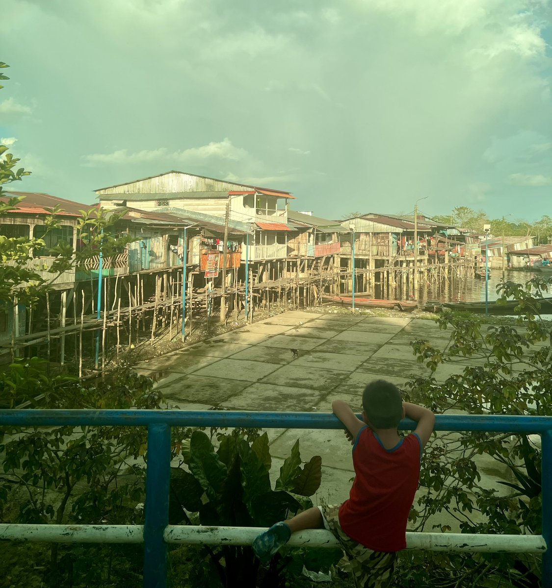 Landed in Iquitos, Peru. Headed for another bucket list item: luxury cruise in the Amazon. Seen below is a shanty town all built on stilts. During the wet season, the river rises 35 *feet* from rain and snowmelt and everything you see is underwater (except the homes).