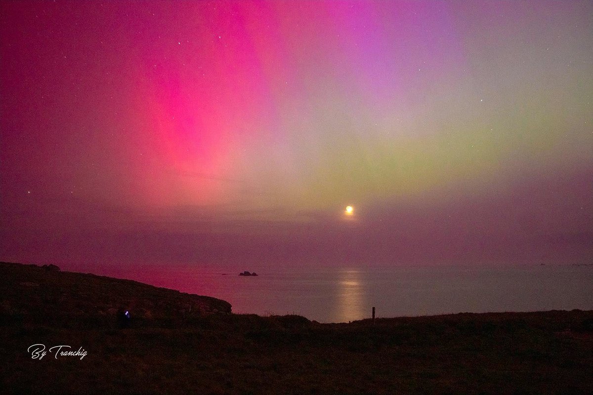 By Tranchig tweet media