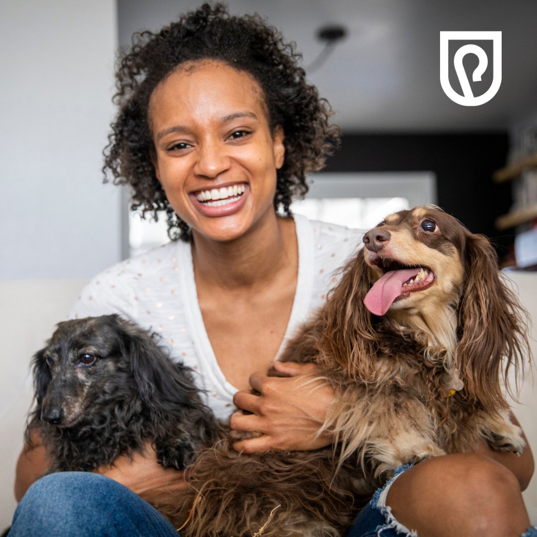 shepherd_vet's tweet image. Calling all proud dog moms! 🙋🏻‍♀️🐶 Let&apos;s celebrate Dog Mom Day by sharing our most hilarious pet tales! Drop your favorite dog story below and let&apos;s spread some laughter!

#DogMomDay #DogStories #ShepherdSoftware #VeterinarySoftware #ShepherdVeterinarySoftware