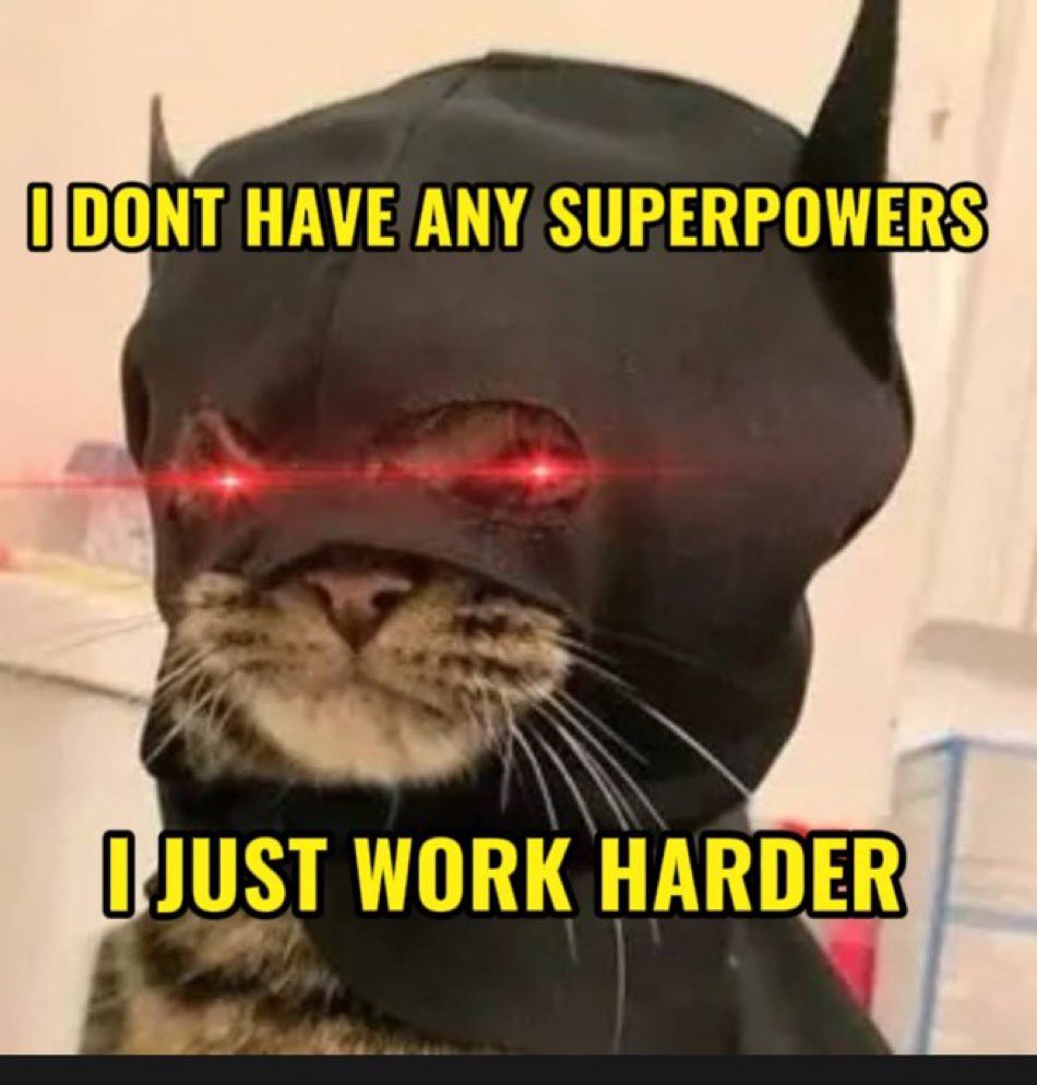 @littlemustacho Only the strong will survive

#batcat #btc #100x #soltham #sharkcat #popcat