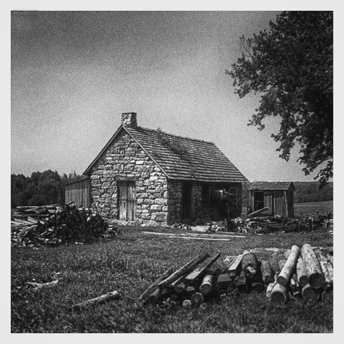 The Old Sawmill
#bnw #bnwphotography #blackandwhite #blackandwhitephotography #monochrome #126film #vintage #lomography #filmcamera #126camera