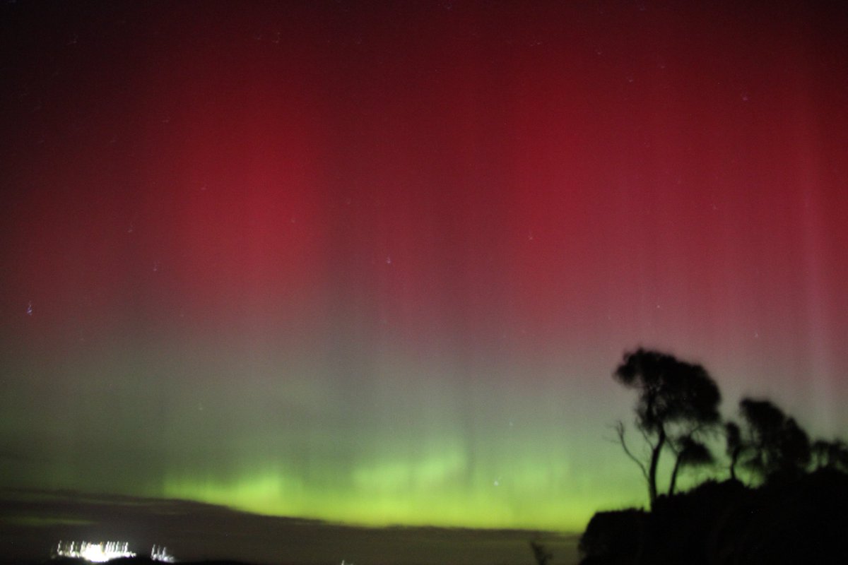 Ruth Reef 🌊 tweet media