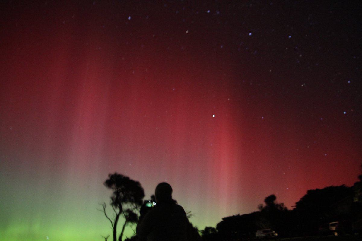 Ruth Reef 🌊 tweet media