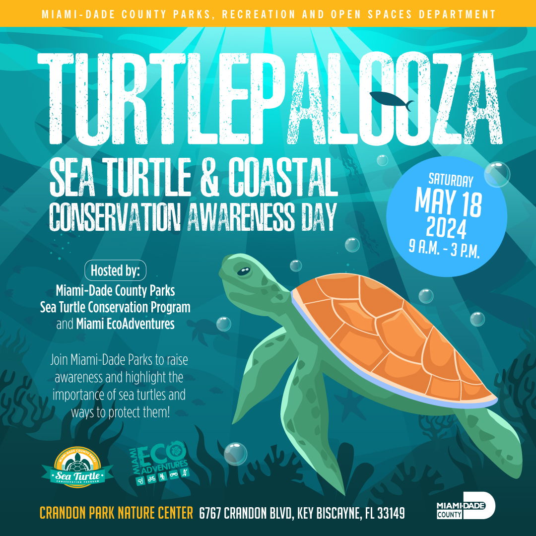 Turtlepalzooza is coming May 18th from 9am-3pm at Crandon Park Nature Center.

The best part? We're kicking things off with a beach clean up!🌊🧹🚮 Sign up to volunteer now: miamidadeparks.com/FL/miami-dade-…

#BeachCleanUp #SeaTurtles #FreeThingsToDoInMiami