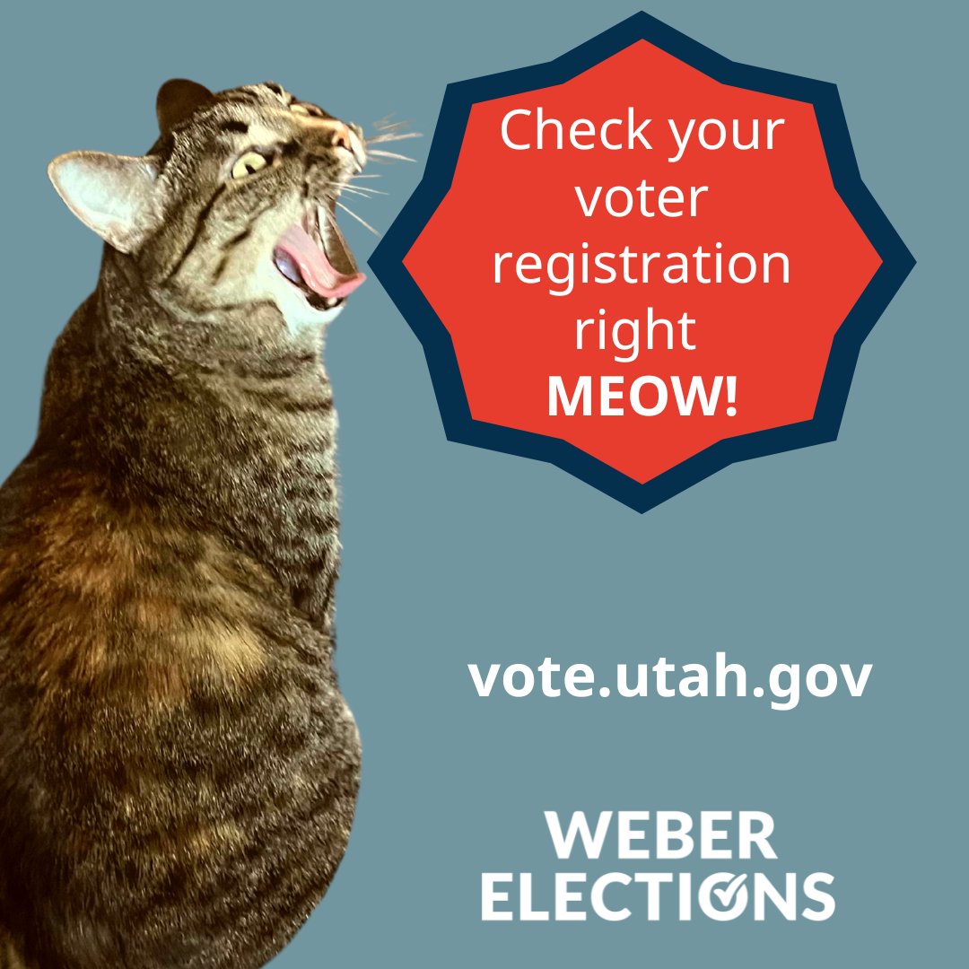 Check your voter registration right MEOW! Make sure it's up to date for the upcoming election: vote.utah.gov #cats #catsofpolisci #utah #webercounty #weberelections #voterregistration #voter