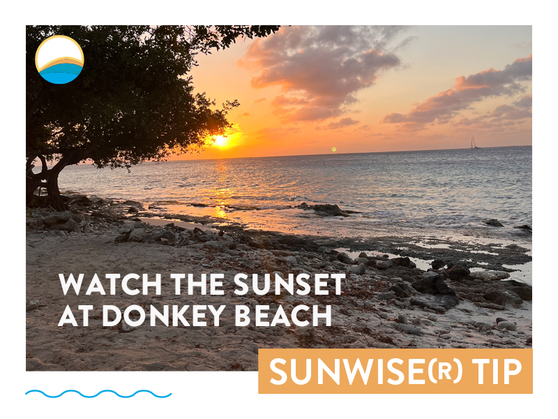 Time to relax after a long day of snorkeling / diving 🌊🤿
Take out your beach chairs and go to Donkey Beach to enjoy a stunning sunset 🌅🌞
.
.
.
.
.
#SunsetLovers #SunwiseBonaire #VacationTip #BonaireAdventure #DonkeyBeach