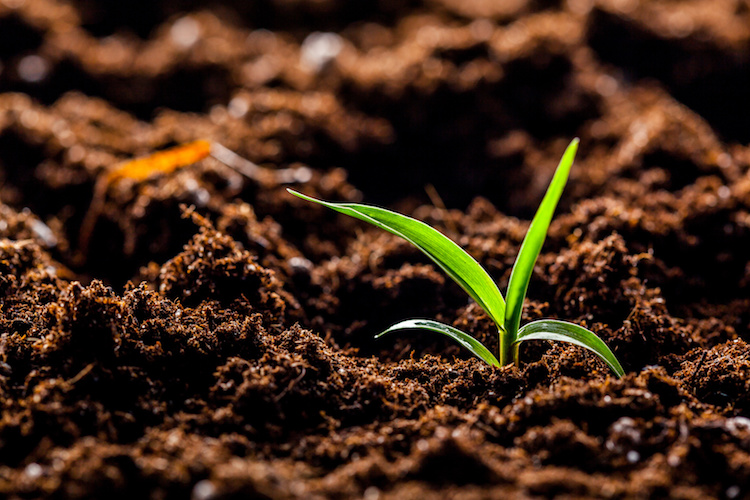 Sensibilizzare le persone sulla complessità del Suolo e la sua importanza è il primo passo per salvarlo e salvare l'agricoltura

#SaveSoil #natura #crisiclimatica #suolo #ambiente