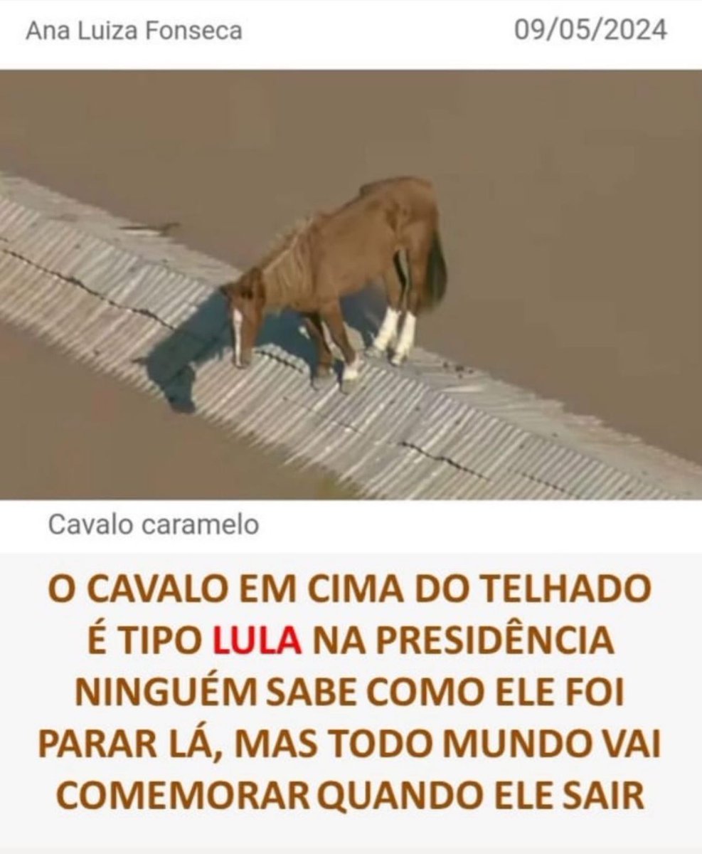 Ana Luiza fez uma analogia precisa e que precisa. 
#cavalocaramelo 
#Brasil 
#AjudaRioGrandeDoSul