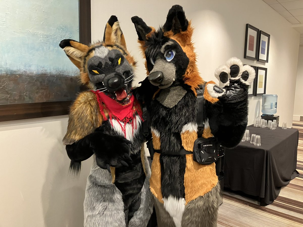 DeckerCrossFox's tweet image. Age of the cross fox is here @honeyeaue