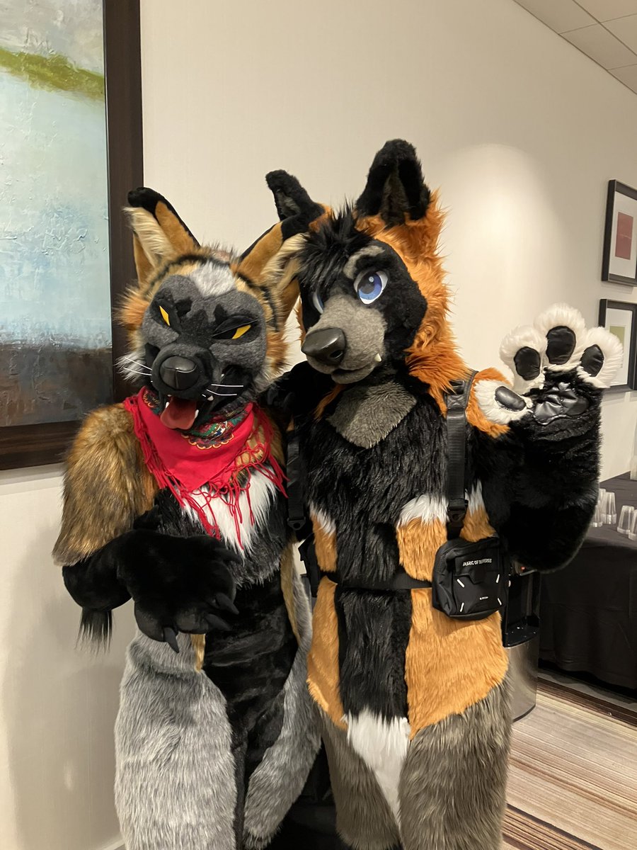 DeckerCrossFox's tweet image. Age of the cross fox is here @honeyeaue