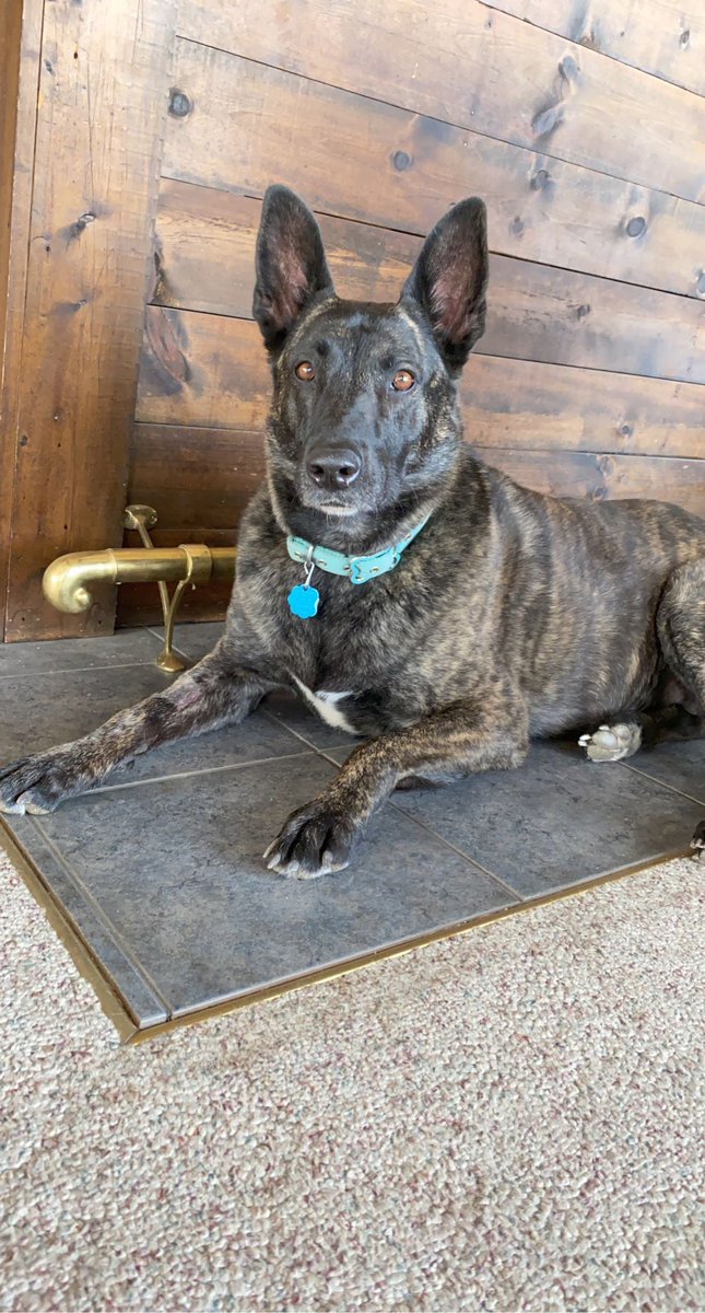 Meet sydney.