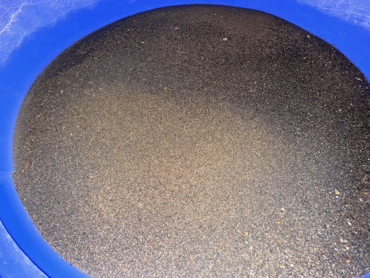 TrueGoldToken tweet media