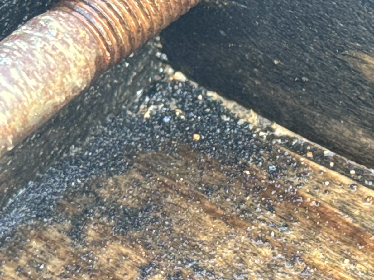 TrueGoldToken tweet media