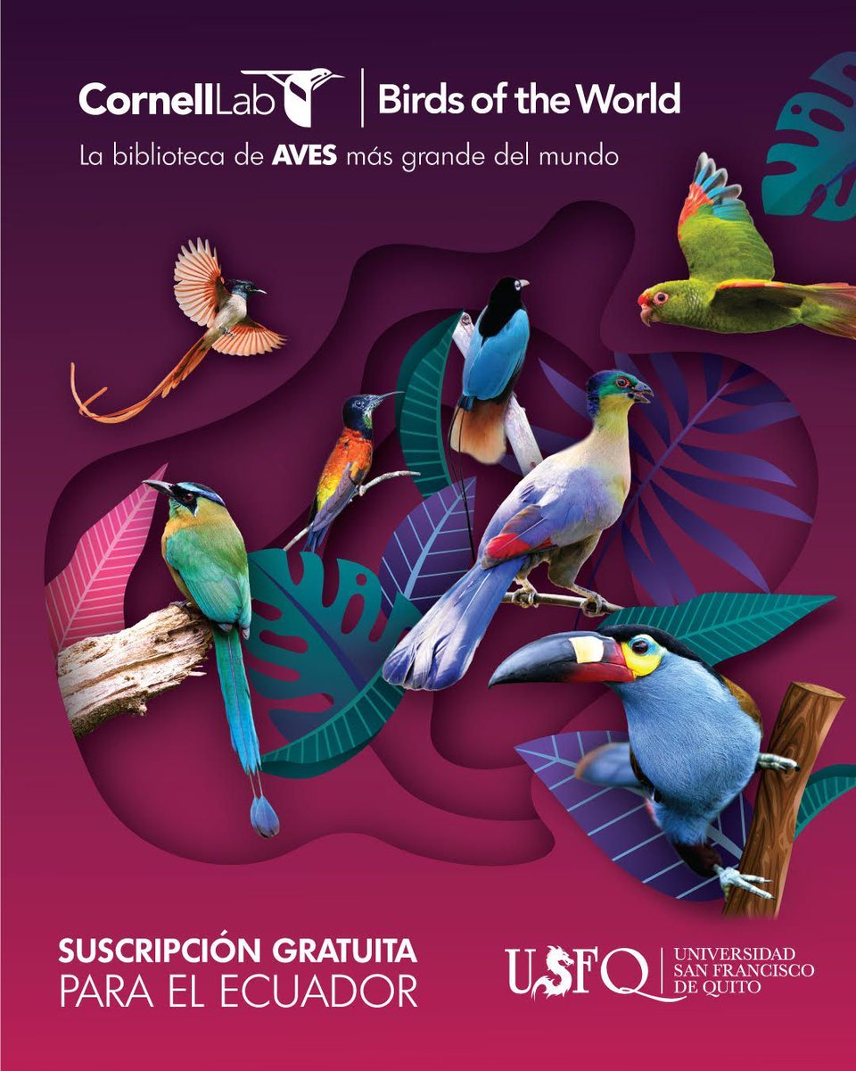 Birds of The World: The Cornell Lab tweet media