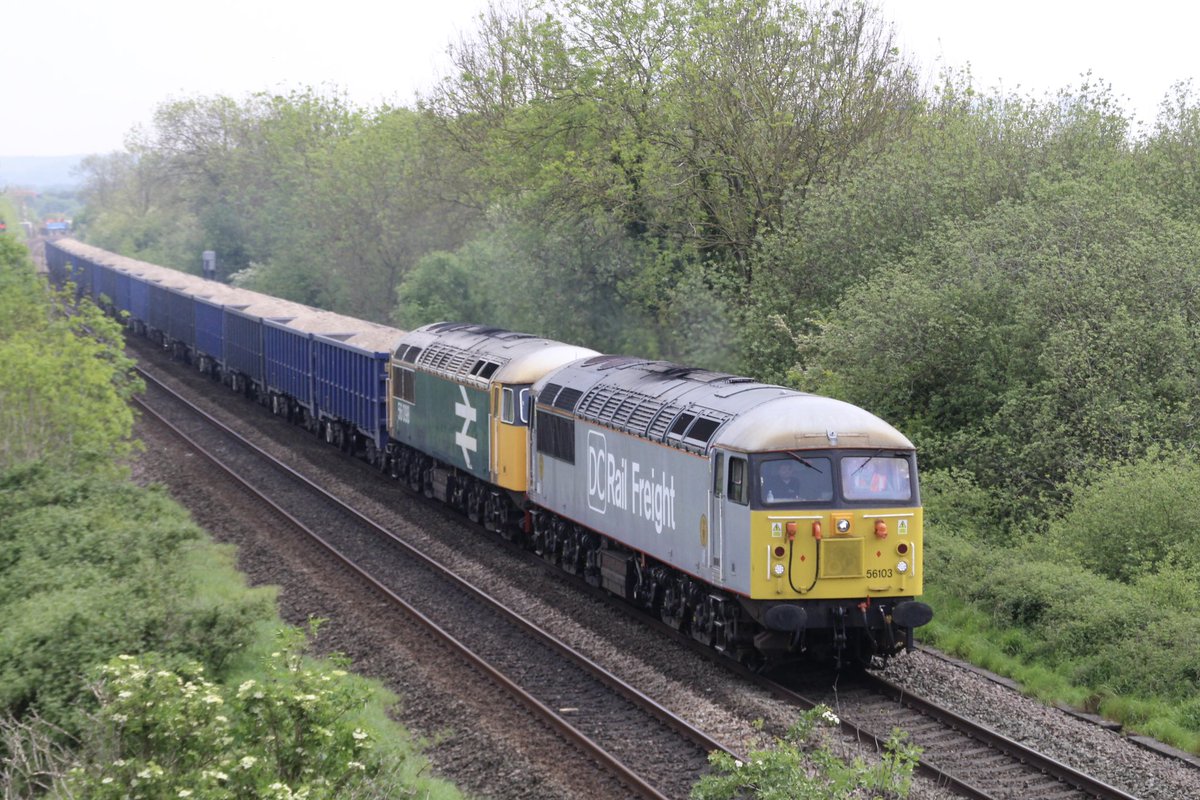 DCR class 56 No. 56103 leads GBRf on hire to DCR class 56 No. 56098 in large logo BR blue livery screaming through Breaston with 6Z89 Middleton Towers to Chaddesden sidings. 11th May 2024.