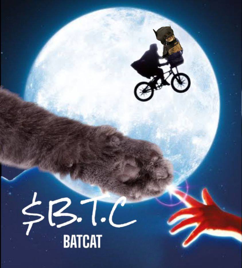 @cb_doge Lets go to the moon

#batcat #btc #100x #soltham #sharkcat #popcat