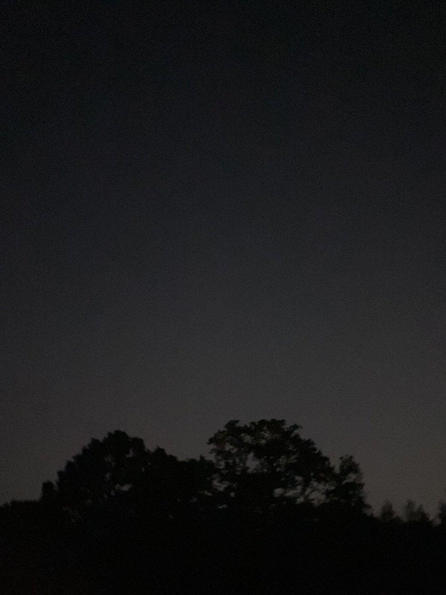 Jamie Cedar (@cedarjamie) on Twitter photo Whimbrel flying south over Hampstead Heath tonight! A nice new patch bird (110) on my first day back from uni! <a href="/LondonBirdClub/">London Bird Club</a> Whimbrel flying south over Hampstead Heath tonight! A nice new patch bird (110) on my first day back from uni! <a href="/LondonBirdClub/">London Bird Club</a>