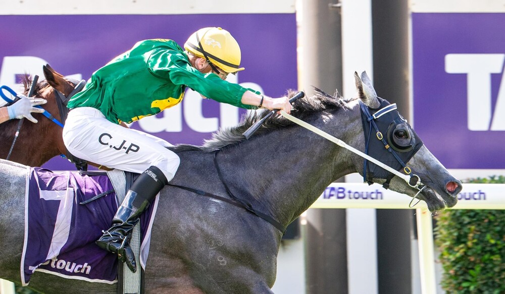 Lucky’s Way was ridden a treat by CJP who hit all the gaps in the run home, saving ground and giving the Bradbury’s Luck 4yo room to zoom! ✌️ It brought up the first leg of our #Ascot double ✌️ Congratulations connections 💪 #SimonMillerRacing | 📸: Western Racepix