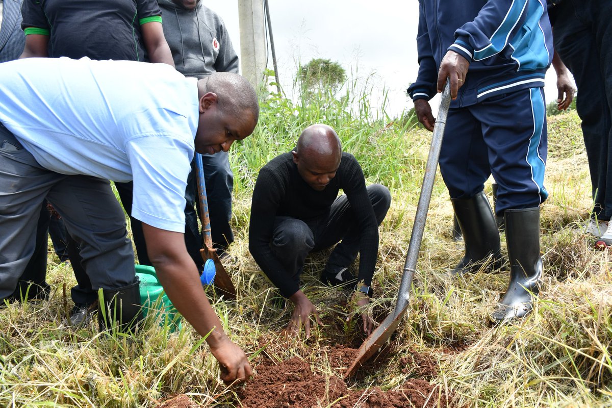 Eng. Shammah Kiteme, CE, FIEK, PMP (@shammahkiteme) on Twitter photo As IEK President I participated with other EBK board members during Tree planting in DeKUT on Friday 10.5.24 at the end of EPC 2024 <a href="/TheIEK/">The Institution of Engineers of Kenya</a> <a href="/DeKUTkenya/">Dedan Kimathi University of Technology</a> <a href="/wfeo/">WFEO</a> <a href="/EngineersBoard/">Engineers Board of Kenya</a> As IEK President I participated with other EBK board members during Tree planting in DeKUT on Friday 10.5.24 at the end of EPC 2024 <a href="/TheIEK/">The Institution of Engineers of Kenya</a> <a href="/DeKUTkenya/">Dedan Kimathi University of Technology</a> <a href="/wfeo/">WFEO</a> <a href="/EngineersBoard/">Engineers Board of Kenya</a>