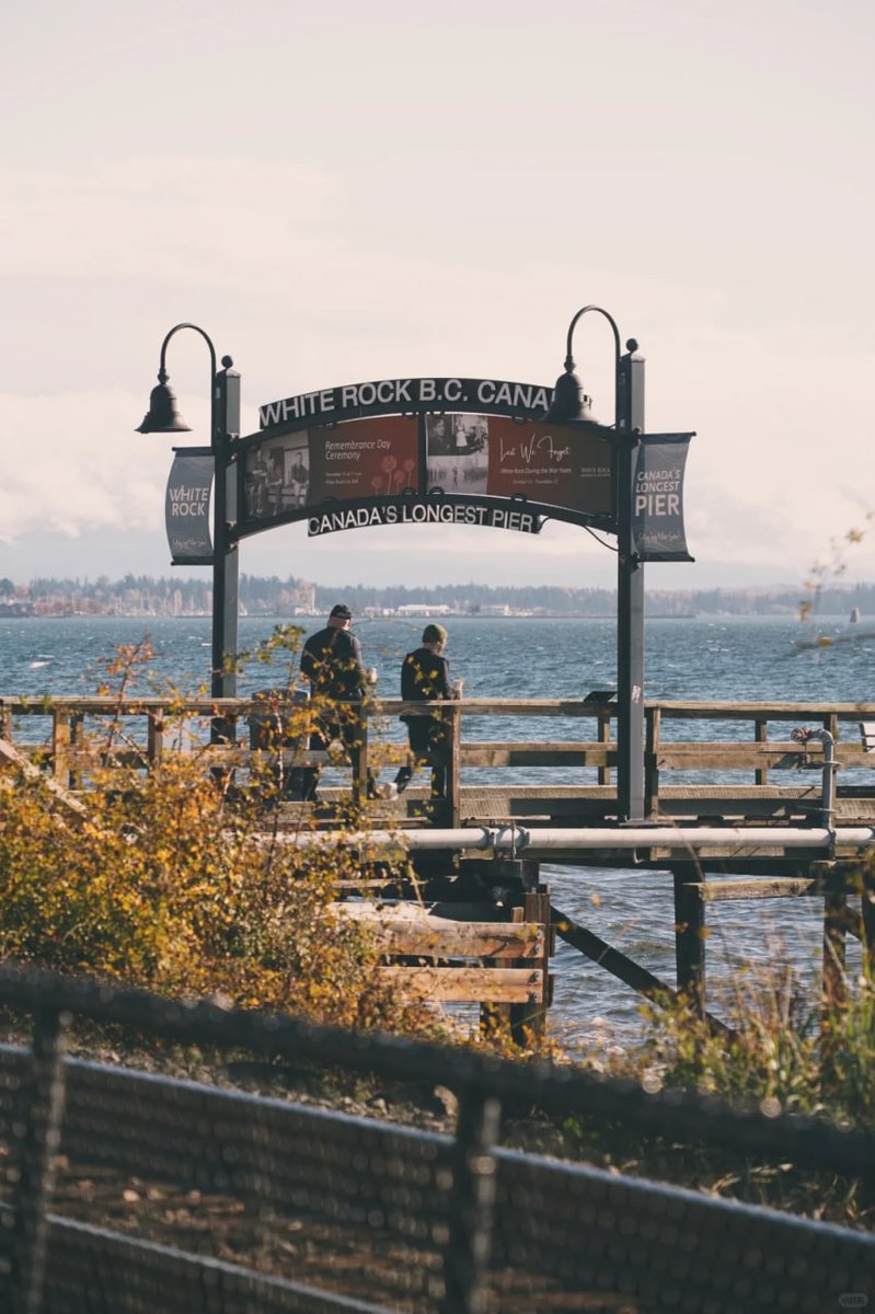 Baishi Town is really suitable for car-free people to visit ‼️ ️
You can get there by taking 351 to the end of bay 9 in Bridgeport.
#Vancouver #VancouverWhitestone Town #The most beautiful seaside