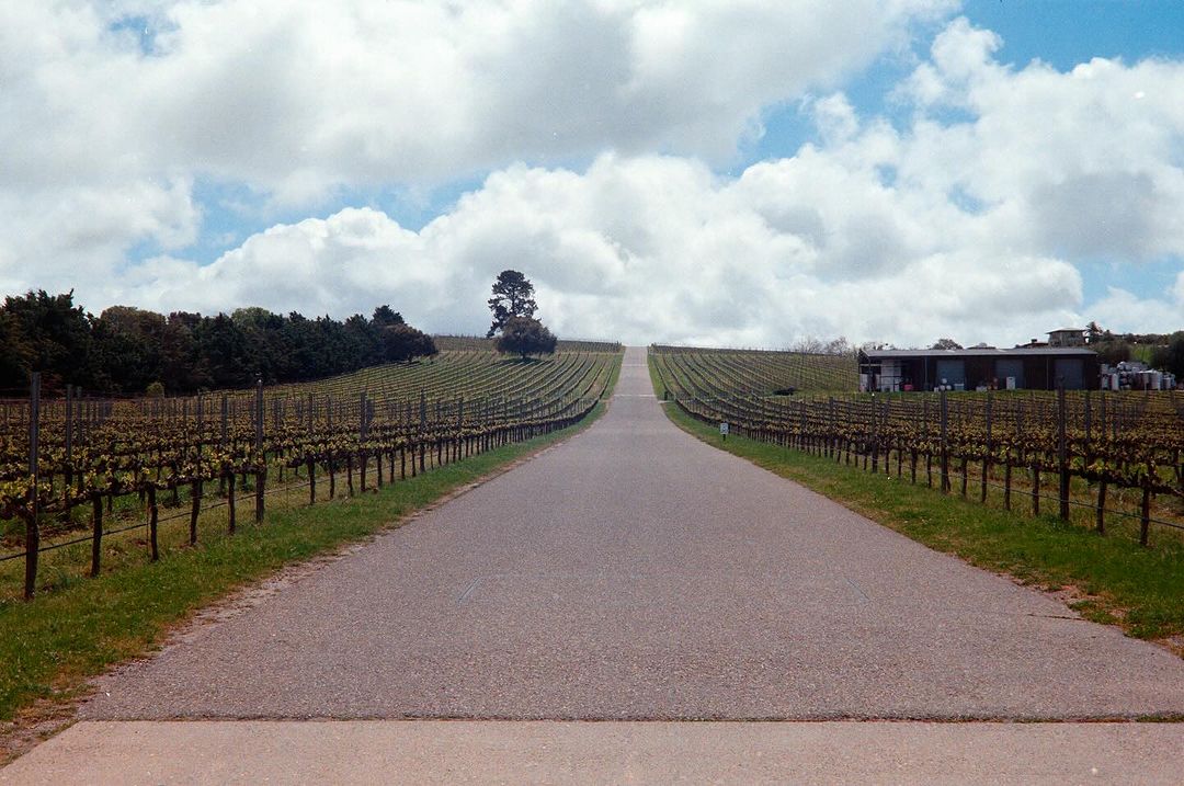 VisitSYV's tweet image. Bust out the old-school camera for your visit to our old-school towns. Loving these film shots of Los Alamos.😍 

📸: nkaufmanphoto