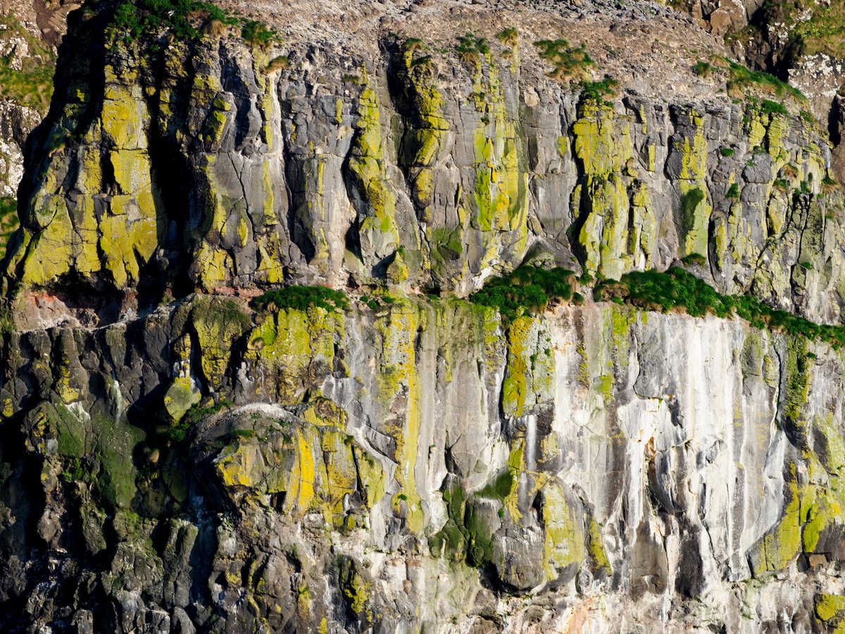 The beautiful cliffs of Rathlin Is (NI).
rcannon992.com/2024/05/11/sea…