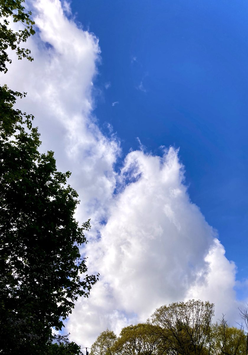#NaturePhotography
#Naturephotography
#photography #Photography 
#nature #naturelovers
#tree #sky #Saturday
#skyphotography #outside #seasons 
#May #naturesbeauty 
#Spring #bluesky #clouds