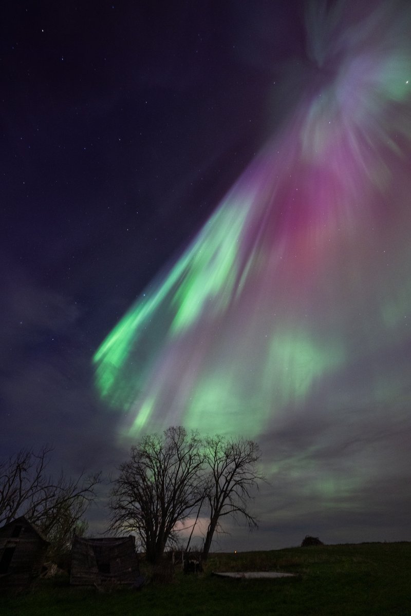 Last night was magic down on the farm all over Alberta.  Here is a sample from Carmangay @KevinAuch @thebender7 @LenzyJ @senatrstanford @StatManford @AlbertaGrains @AlbertaCanola @AlbertaPulse @westernproducer @AAFC_Canada @LouiseCarduner @GrainGrowers