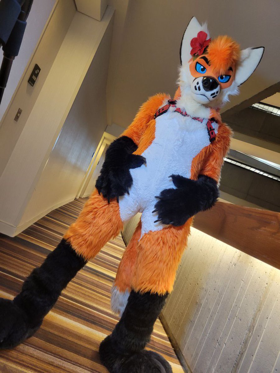 New suit who dis