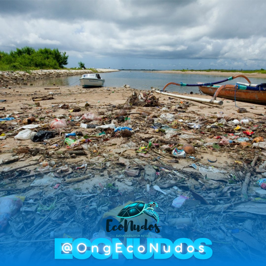 #limpezadepraias - Participe de eventos de limpeza de praias na sua região e inspire outros a fazerem o mesmo. 🤝🌊🌊🌊👏🏼 #praias #poluição #beach #beachcleanup #pollution #educaçãoambiental