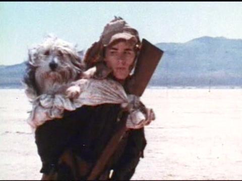 The year is, in fact, 2024. 

And you know what that means. 

That's right! While wandering the desert with his dog, @DonJohnson is going to be kidnapped by a lunatic underground Armageddon cult, and have his semen milked by mad scientists.