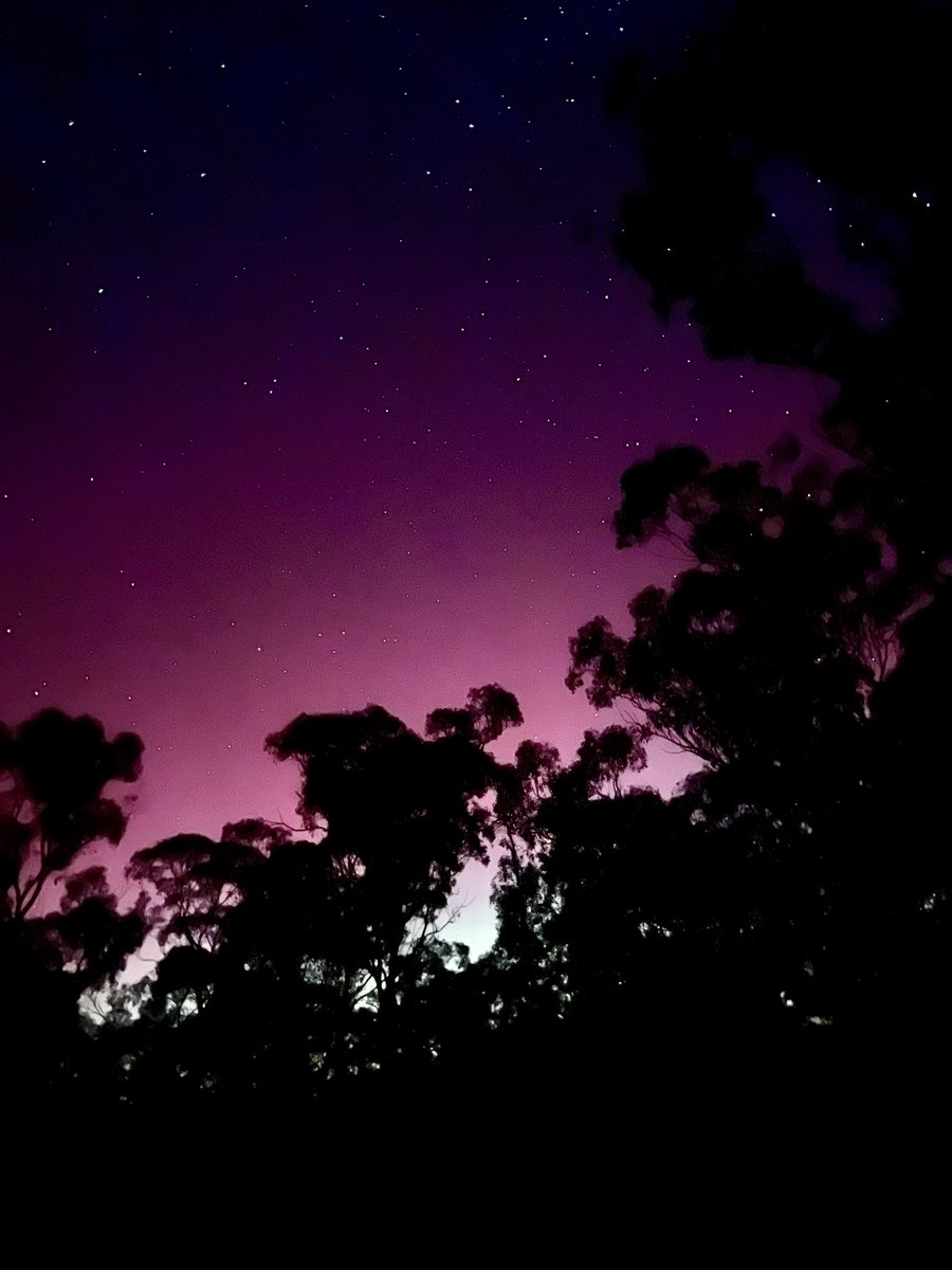 Hey @abcnews - why bother w a contort on Aurora Borealis when Australia had even more spectacular sights last night. FB is full of our wonderful pics! Central Vic 1830-2200 11/5/24 @ASSA