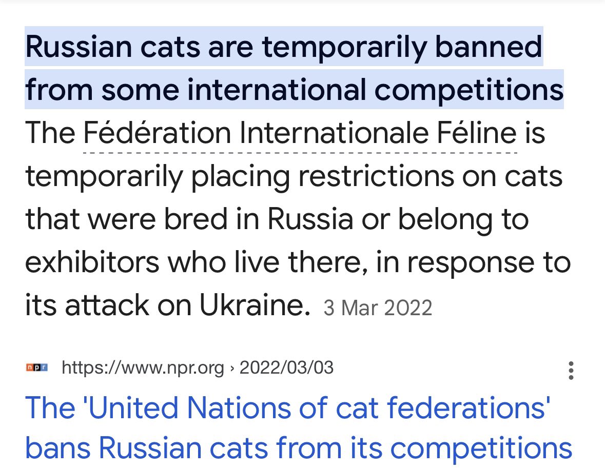 Well I randomly remembered the russian cats 🐱 

#eurovision24 #Eurovision2024 #Israel #NetanyahuIsAWarCriminal #WarCrimesbyIsreal