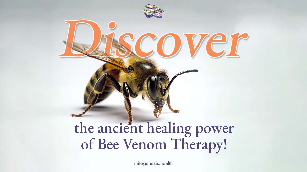 From individuals managing chronic pain to those battling autoimmune diseases, Bee Venom Therapy offers relief and restoration to people of all ages. 🐝  
#mitogenesis_health #cancertreatment #holisticapproach