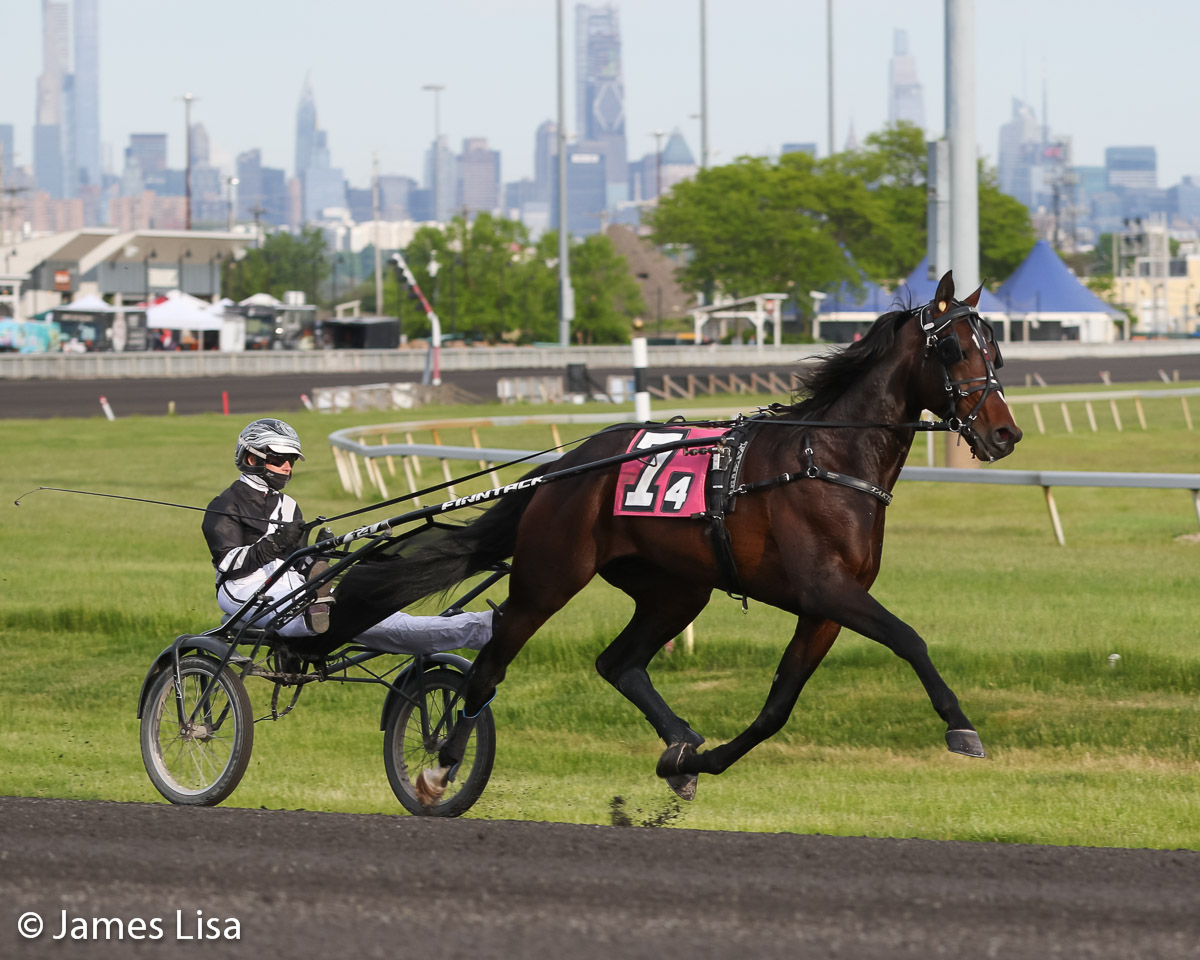 Karl with Nancy @NancyTakter warming up for his 2024 debut in the 4th race tonight @themeadowlands @Elinemjo @JessicaOtten1 @DaveLittleBigM #harnessracing #PlayBigM