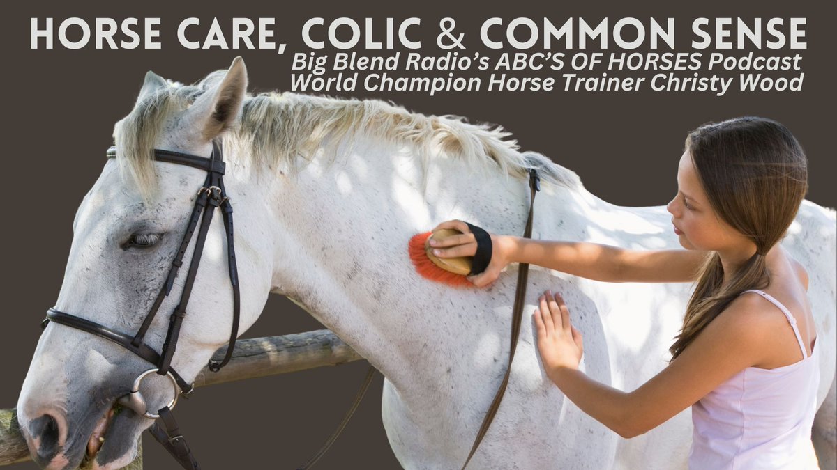 The latest episode of #BigBlendRadio's ABC'S OF HORSES Podcast with world champion horse trainer Christy Wood covers Horse Care, Colic, and yes, Common Sense. Podcast: abcs-horses-christywood.podbean.com/e/horse-care/ #Horses