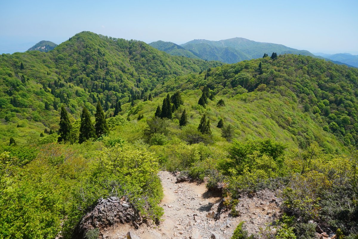 mt_pompon_ppy's tweet photo. 5/11 大津市 武奈ヶ岳
およそ1年ぶりの登山
新緑よりどりみどり https://t.co/RfCDFFRUOR