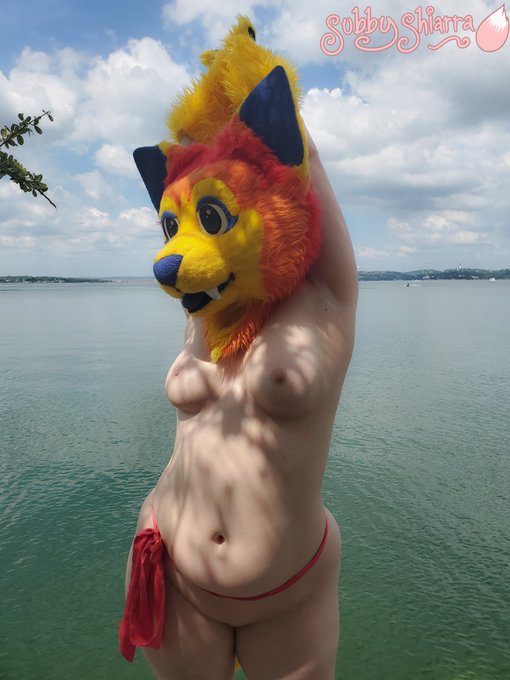 Haven't been posting much, so I'm NOT expecting anything, but my BDay /is/ May 19th, if you want to~  🎁Gifts https://t