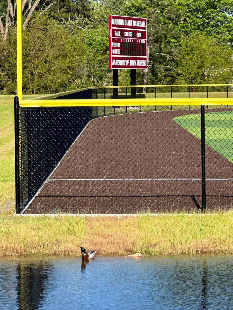 Ducks on the pond at @derekjeter Field today. #DerekJeterField #KCentralBaseball #KalamazooMI @MLB @Yankees @YankeesPR